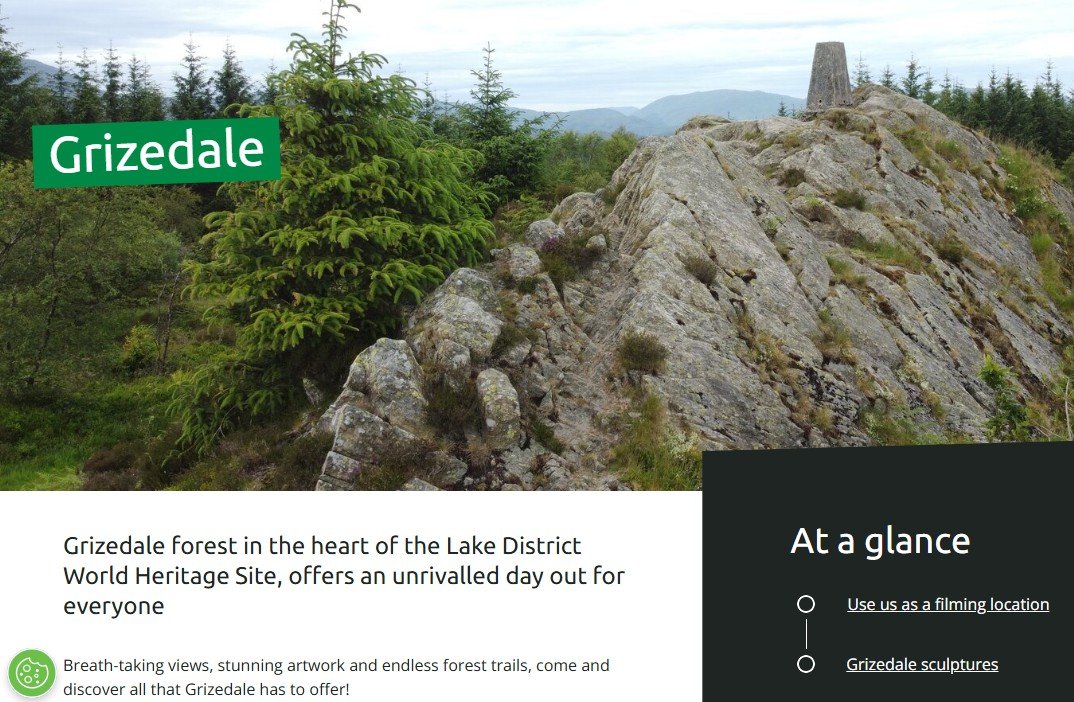 Grizdale Forest